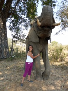 Karen w elephant